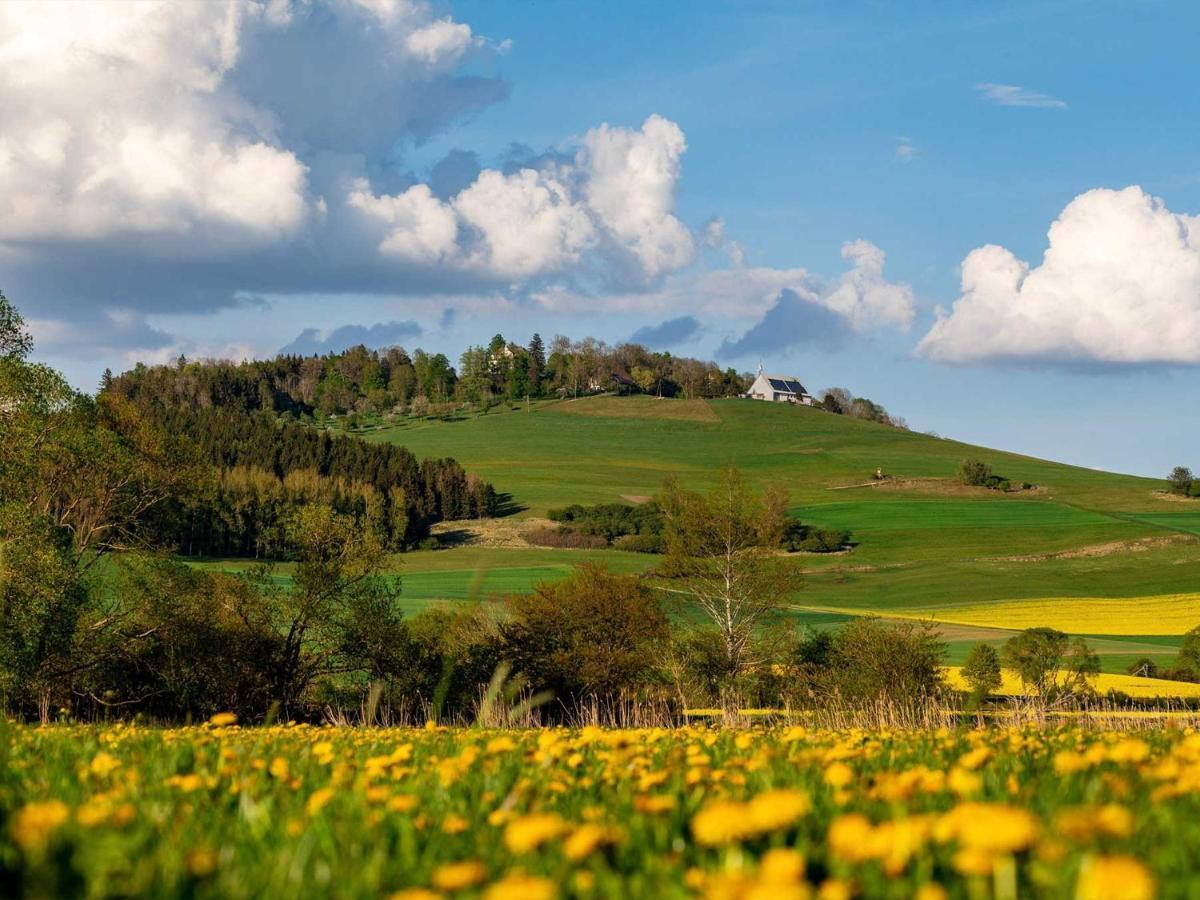 An Webers Stoag Villa Geisingen Exteriör bild