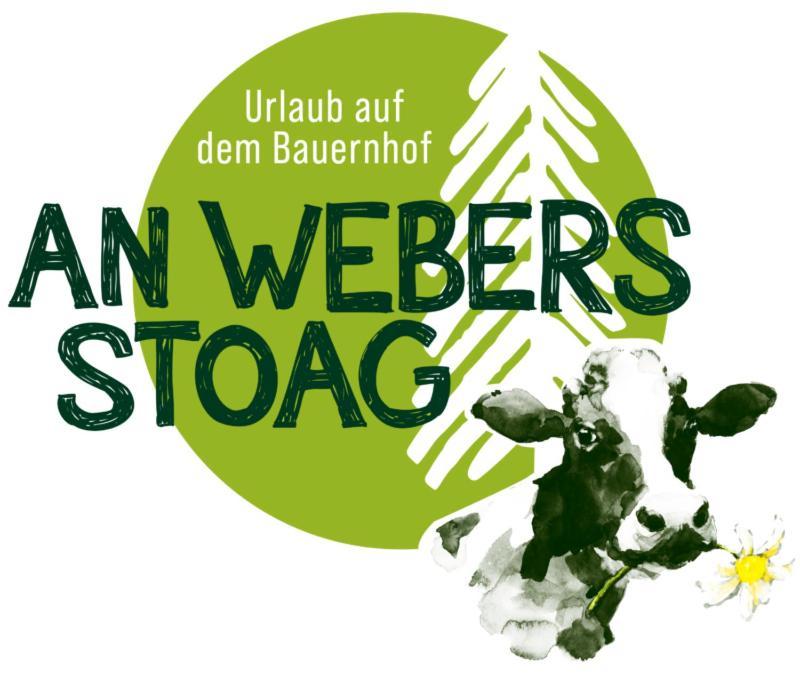 An Webers Stoag Villa Geisingen Exteriör bild